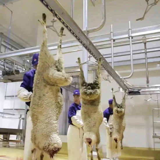 Rail de transport automatique d'installation de fabrication de carcasses de moutons pour la ligne d'abattoir de chèvre